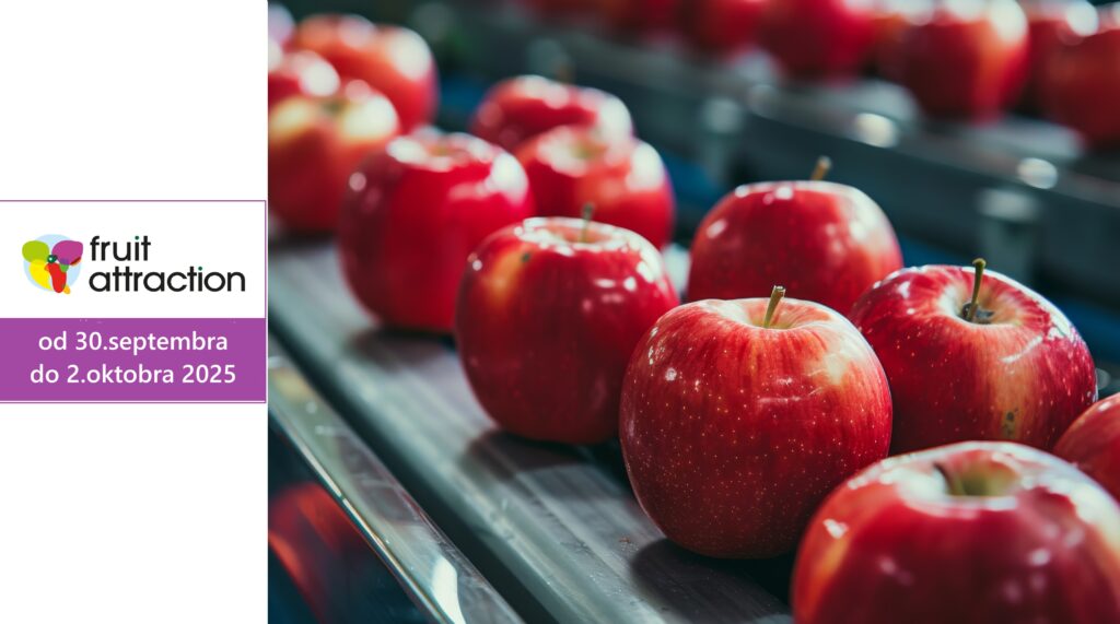 In a modern, well-lit fruit packaging and distribution facility, gala apples glide on a stainless steel conveyor belt.